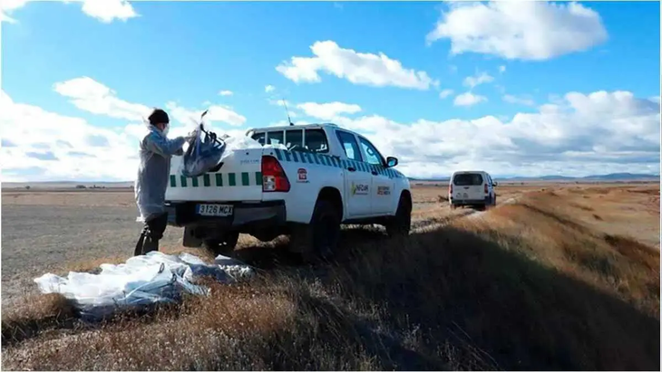El caso se suma al incremento de positivos en aves en Espa&ntilde;a y Europa, pero los especialistas insisten en que el riesgo humano sigue siendo bajo.