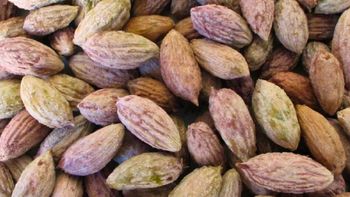 El carozo de aceituna se una para reciclaje, pueden aromatizar ambientes combinados con aceites esenciales y crear elementos decorativos rústicos. El carozo de aceituna se una para reciclaje, pueden aromatizar ambientes combinados con aceites esenciales y crear elementos decorativos rústicos.