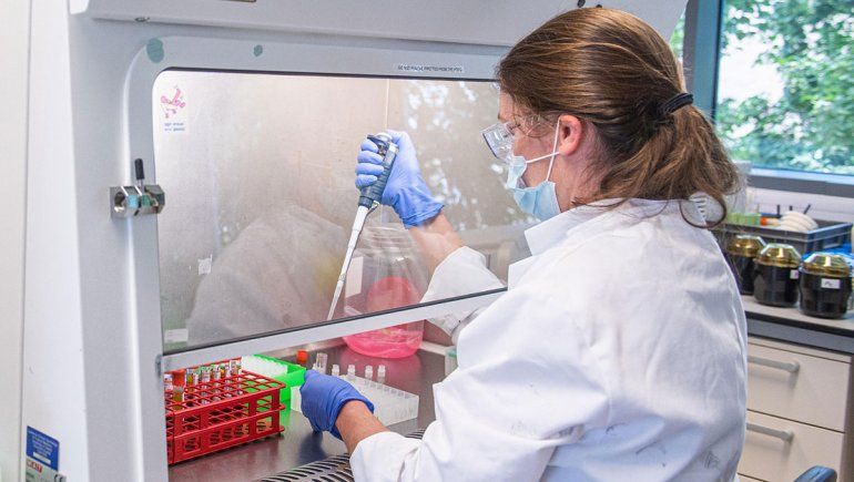 AstraZeneca definió la fórmula para su vacuna