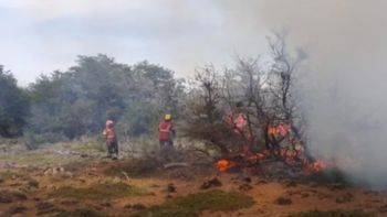 En el momento más crítico, unos 50 brigadistas lucharon contra las llamas en Chubut. En el momento más crítico, unos 50 brigadistas lucharon contra las llamas en Chubut.