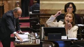 Francos en el Senado: un drama que no dejó perdedores en la aridez de un terreno adverso