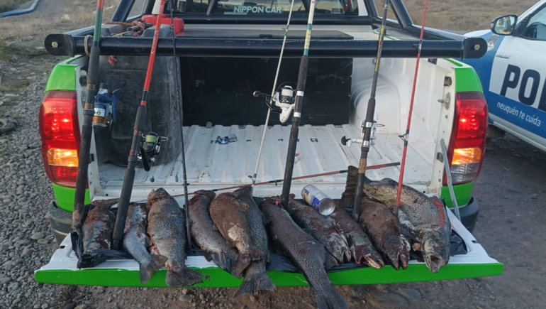 Operativo en Añelo: secuestraron más de 10 truchas y elementos de pesca
