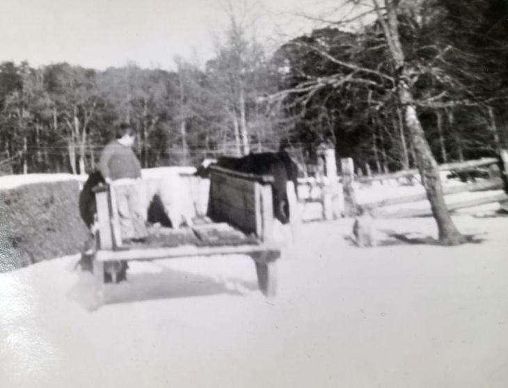 Don Carrillo: su lugar de origen es el Paraje Ruca Lil, sobre la cuenca del lago Lacar. Foto: gentileza Don Carrillo: su lugar de origen es el Paraje Ruca Lil, sobre la cuenca del lago Lacar. Foto: gentileza