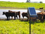 Fuerte inversión para brindar energía solar a productores rurales