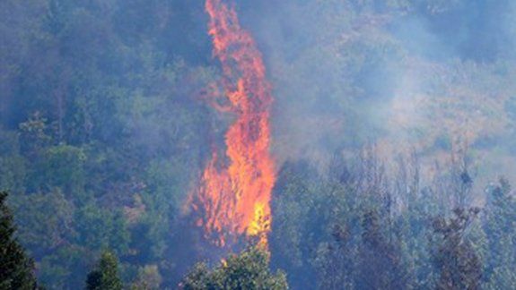 alerta en el parque lanin por un incendio en chile