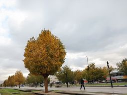 que dice el pronostico para este jueves 4 de diciembre en neuquen que dice el pronostico para este jueves 4 de diciembre en neuquen