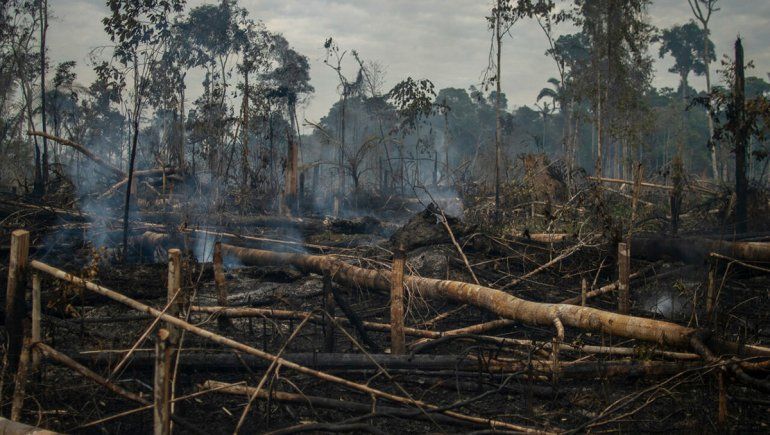 Deforestación de Amazonia brasileña: un nuevo récord