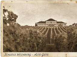 En el corazón del Rheingau alemán, Schloss Johannisberg conserva más de 25.000 botellas históricas en una legendaria cava subterránea donde nació la vendimia tardía. En el corazón del Rheingau alemán, Schloss Johannisberg conserva más de 25.000 botellas históricas en una legendaria cava subterránea donde nació la vendimia tardía.