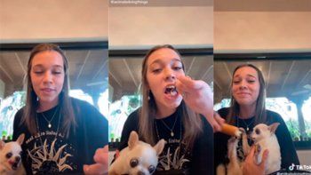 TikTok: mientras intentaba comer su perrito le robó la comida.