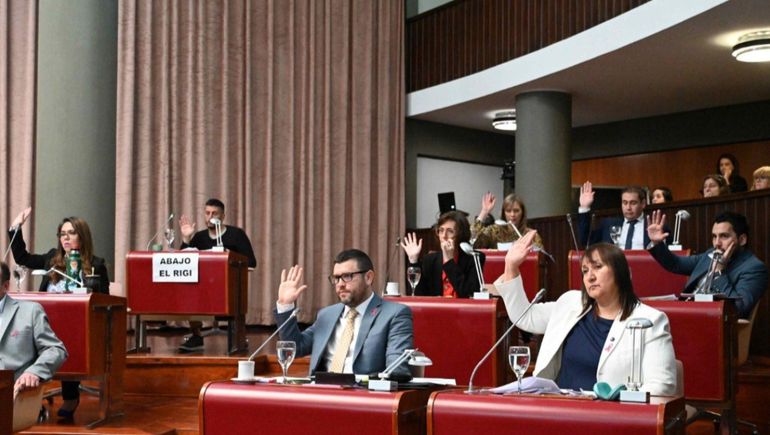Los 27 diputados presentes en la sesion de este jueves aprobaron la Ley Salomé por unanimidad. Los 27 diputados presentes en la sesion de este jueves aprobaron la Ley Salomé por unanimidad.