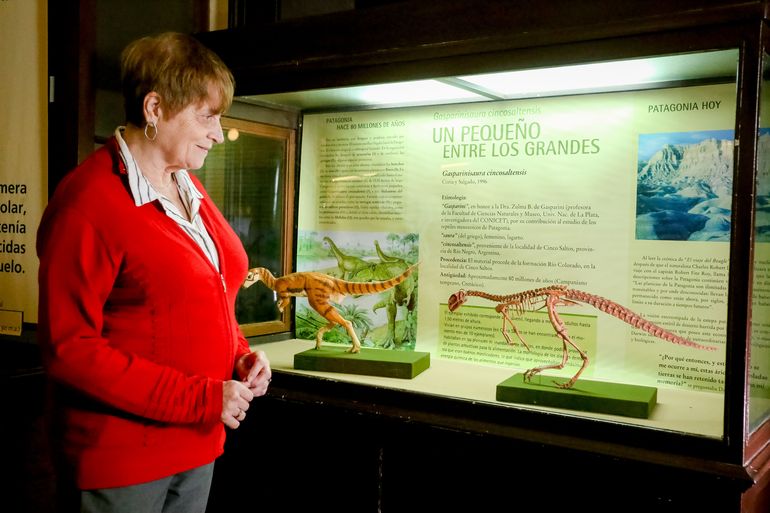 Zulma Brandoni de Gasparini se destacó por los descubrimientos y estudios sobre los primeros reptiles marinos jurásico-cretácicos en la Cuenca Neuquina. Zulma Brandoni de Gasparini se destacó por los descubrimientos y estudios sobre los primeros reptiles marinos jurásico-cretácicos en la Cuenca Neuquina.