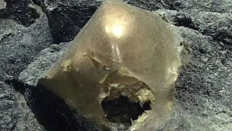 Un misterio huevo Un misterio huevo