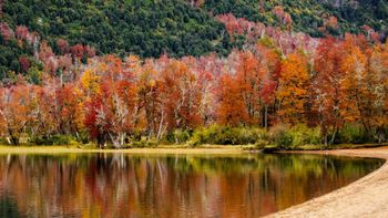 los mejores precios para visitar la cordillera en otono: ¿cuanto cuesta una cabana? los mejores precios para visitar la cordillera en otono: ¿cuanto cuesta una cabana?