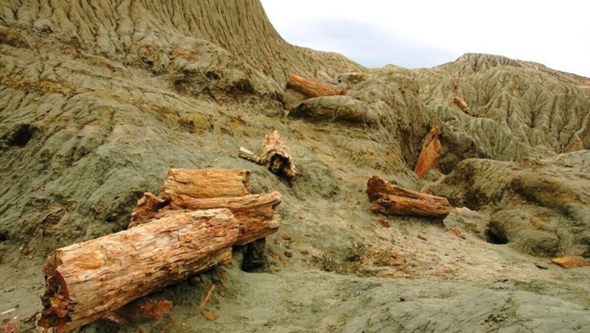 Bosque Petrificado de Sarmiento, en Chubut.