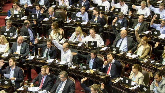 Una diputada denunció venta de fetos y otra habló de las mascotas