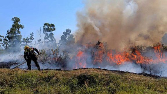 Hay un piloto del automovilismo que es defensor del medio ambiente