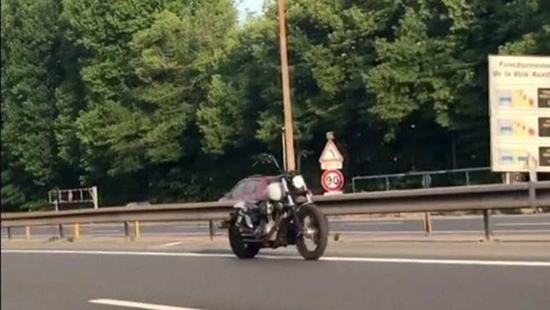 El video no tardó en generar reacciones en TikTok