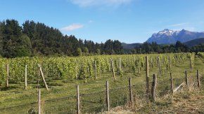 Reconocen el potencial de la Patagonia. Foto: @CasaYague