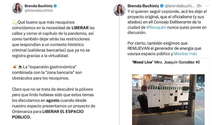 El tuit de Brernda Buchiniz referido al proyecto de ley que presentó en agosto del año pasado y que fue 