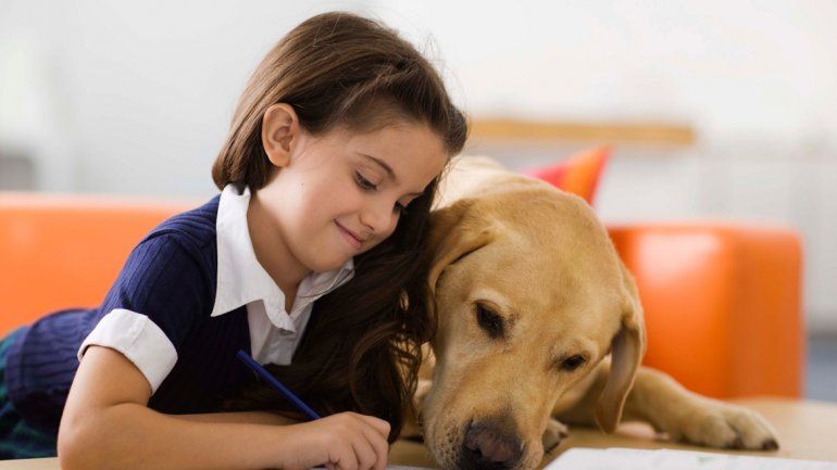 Un estudio científico reveló que la presencia de mascotas los estabiliza emocionalmente.