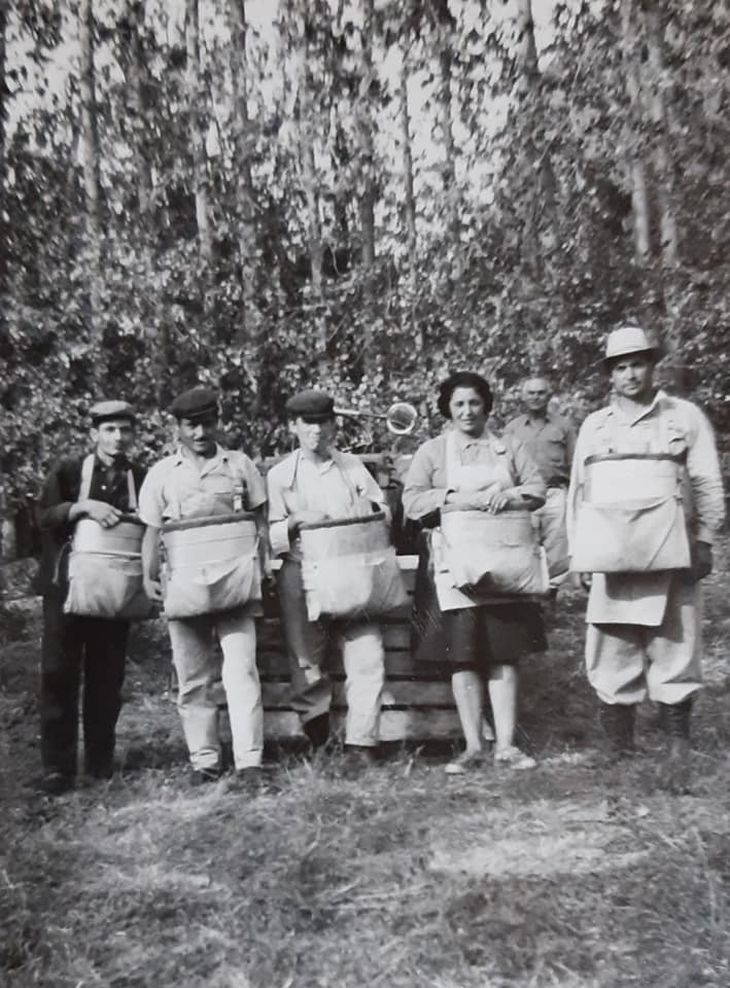 Trabajadoras en el empaque de la ex FUDEP, décadas pasadas. Gentileza Héctor Muñoz. Trabajadoras en el empaque de la ex FUDEP, décadas pasadas. Gentileza Héctor Muñoz.