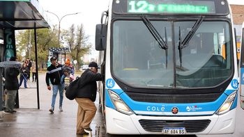 Colectivo (4).jpg