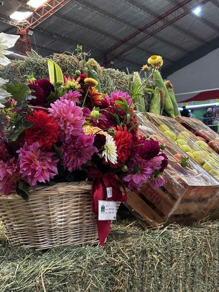 Toda la producción de la comarca en una muestra para toda la familia. Foto: gentileza Toda la producción de la comarca en una muestra para toda la familia. Foto: gentileza