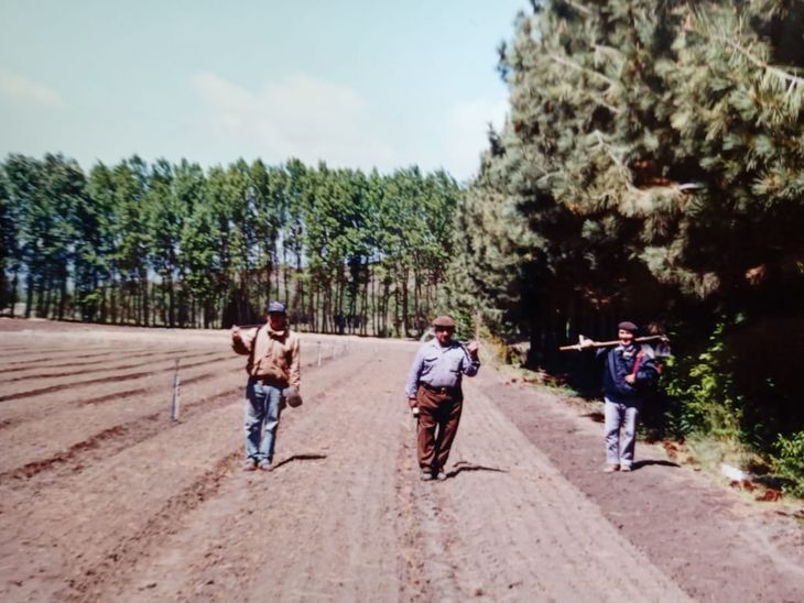 Las primeras forestaciones de Corfone en su región, fueron en el Lolog y San Martín de los Andes, en el año 1976. Foto: gentileza. Las primeras forestaciones de Corfone en su región, fueron en el Lolog y San Martín de los Andes, en el año 1976. Foto: gentileza.