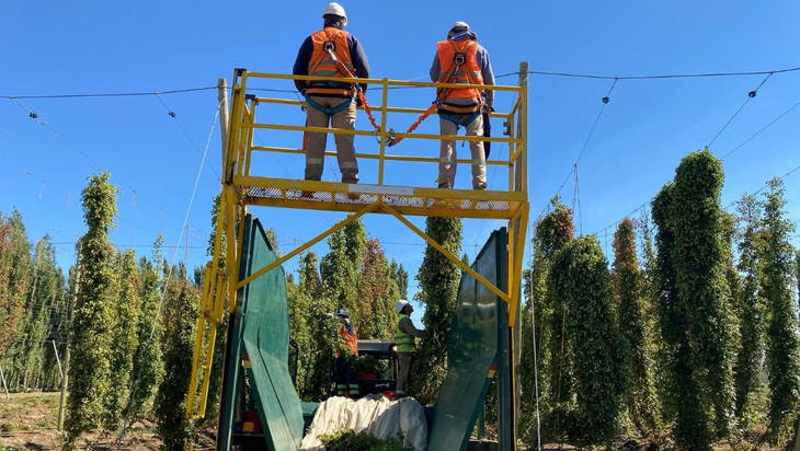 Tecnificación: solución ante 55% de gastos en mano de obra, impulsando eficiencia en producción orgánica.