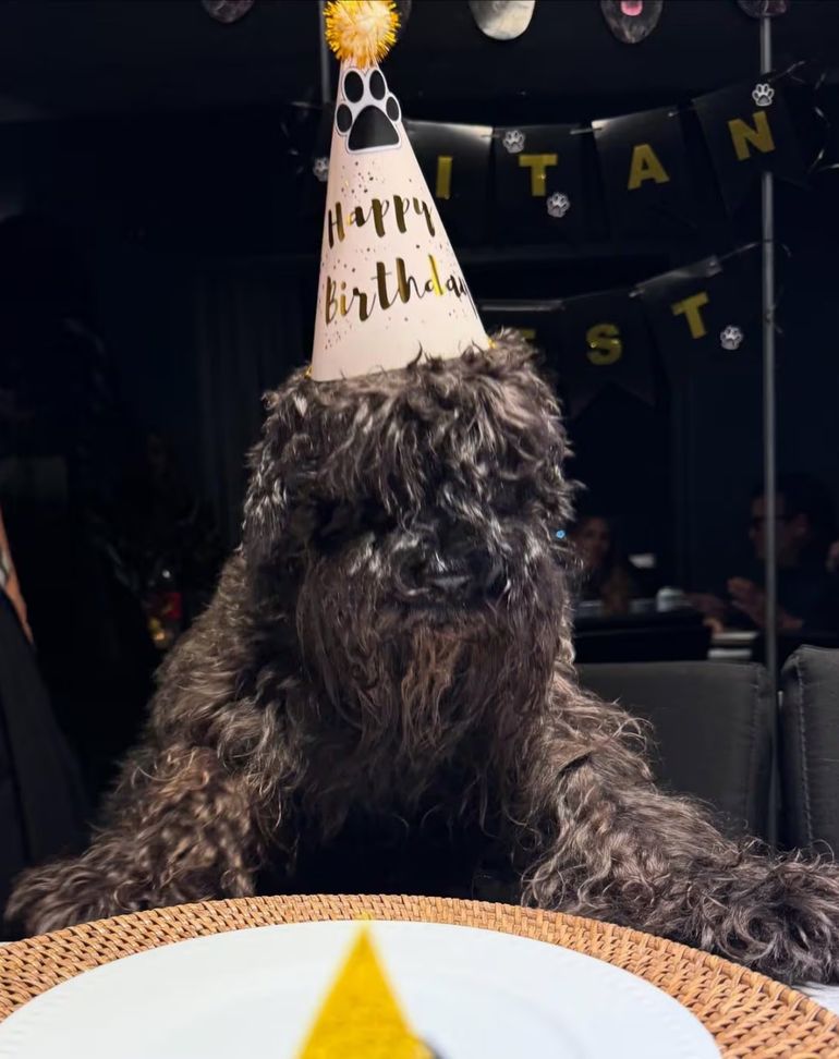 Titán, el perro de Silvina Escudero Titán, el perro de Silvina Escudero