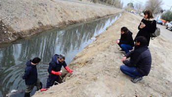 clausuraron un frigorifico por tirar liquidos al canal bejarano
