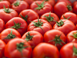 Las exportaciones de vino argentino sufren altibajos. Las exportaciones de vino argentino sufren altibajos.