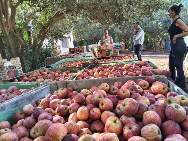 Tras el rechazo de parte del sector productivo, la CAFI salió a respaldar las importaciones y aseguró que cerrar mercados sería una contradicción para una actividad fuertemente exportadora. Tras el rechazo de parte del sector productivo, la CAFI salió a respaldar las importaciones y aseguró que cerrar mercados sería una contradicción para una actividad fuertemente exportadora.