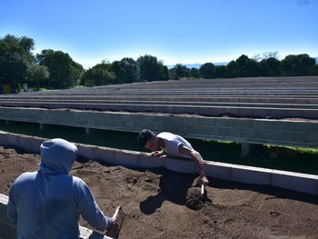 Preparación de la tierra en cajones de cemento para la plantación. Foto: El País