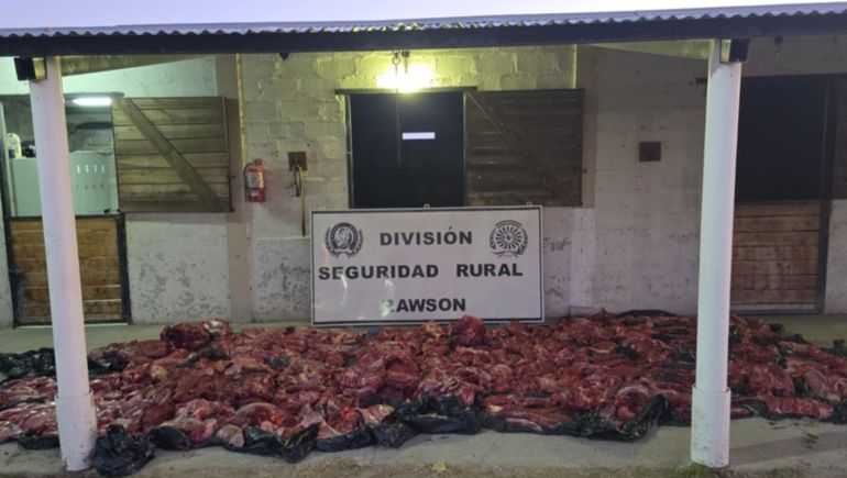 La carga decomisada en Chubut: contaron 84 lomos y otras tantas paletas de guanaco.