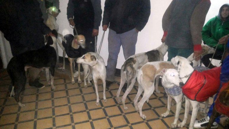 La mujer que denunció la realización de la carrera se llama Victoria Laporte y es de la Asociación Proteccionistas Independiente de animales de San Luis.&nbsp;