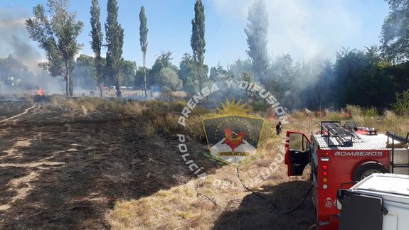 Incendio intencional en un predio cercano a la costa del río Neuquén