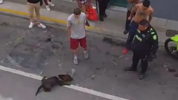 El hecho se produjo mientras la Policía intentaba reducir a un hombre en la vía pública. El hecho se produjo mientras la Policía intentaba reducir a un hombre en la vía pública.