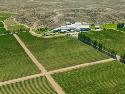 costos de la energia y la marca patagonia, las dos preocupaciones costos de la energia y la marca patagonia, las dos preocupaciones