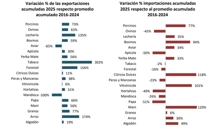 Vitivinicultura argentina: r&eacute;cord productivo y exportador con rentabilidad bajo presi&oacute;n