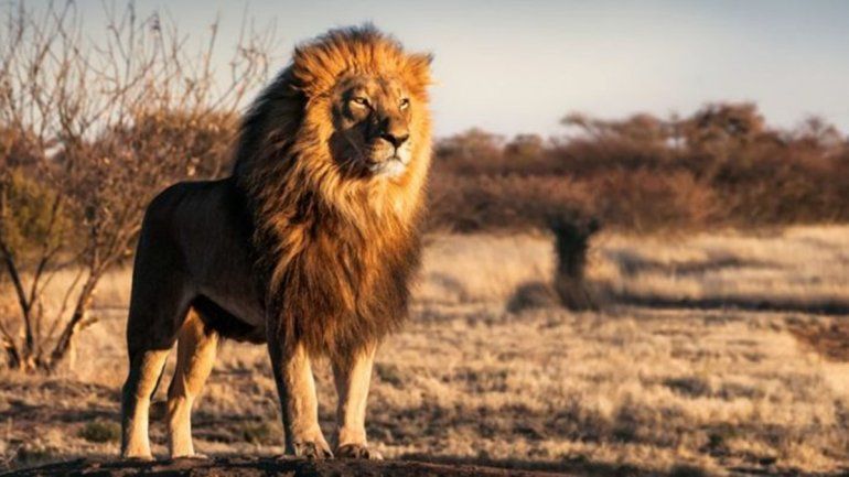 El hallazgo en Google Maps genera reacciones en TikTok | Imagen referencial