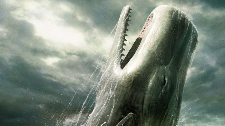 Creen que Moby Dick  pasó por nuestros mares