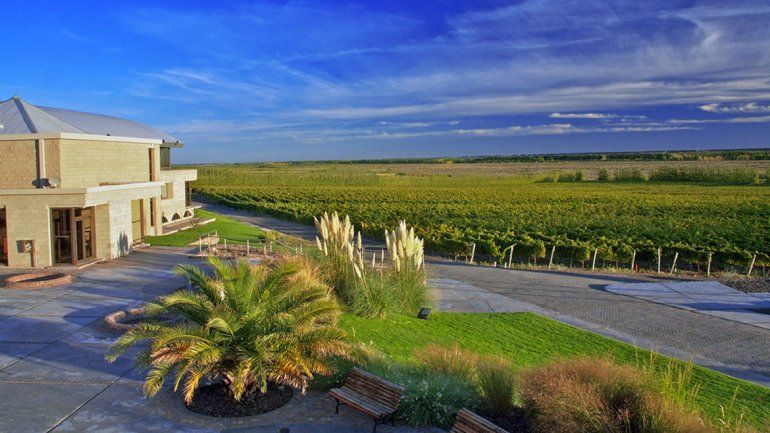 La extensa Patagonia hoy ofrece diversidad en vinos argentinos