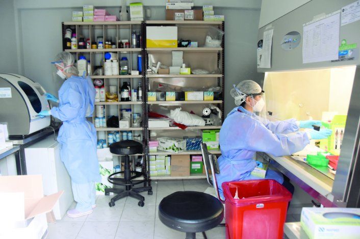 En lo que va de la pandemia, Neuquén tuvo 4175 contagiados de Covid-19