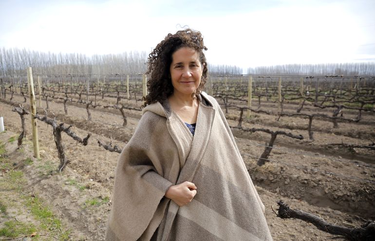 Ana Viola hizo un planteo para que WofA (Wines of Argentina) haga acciones comunicativas sobre el conflicto con la marca Patagonia. Somos dos empresas que estamos en un conflicto en una misma entidad