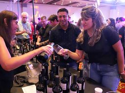 Comenzó una nueva edición de la Vendimia Neuquina. Comenzó una nueva edición de la Vendimia Neuquina.