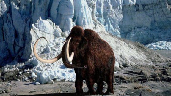 La ciencia va en busca del mamofante