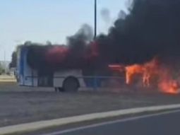El conductor pudo salir del rodado por sus propios medios. Foto: Gentileza. El conductor pudo salir del rodado por sus propios medios. Foto: Gentileza.