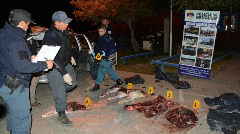 Caen 5 cazadores furtivos en San Martín y Las Perlas