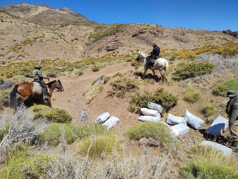 Millonario hallazgo en Neuquén, cerca de la frontera chilena: qué había en los bolsones abandonados